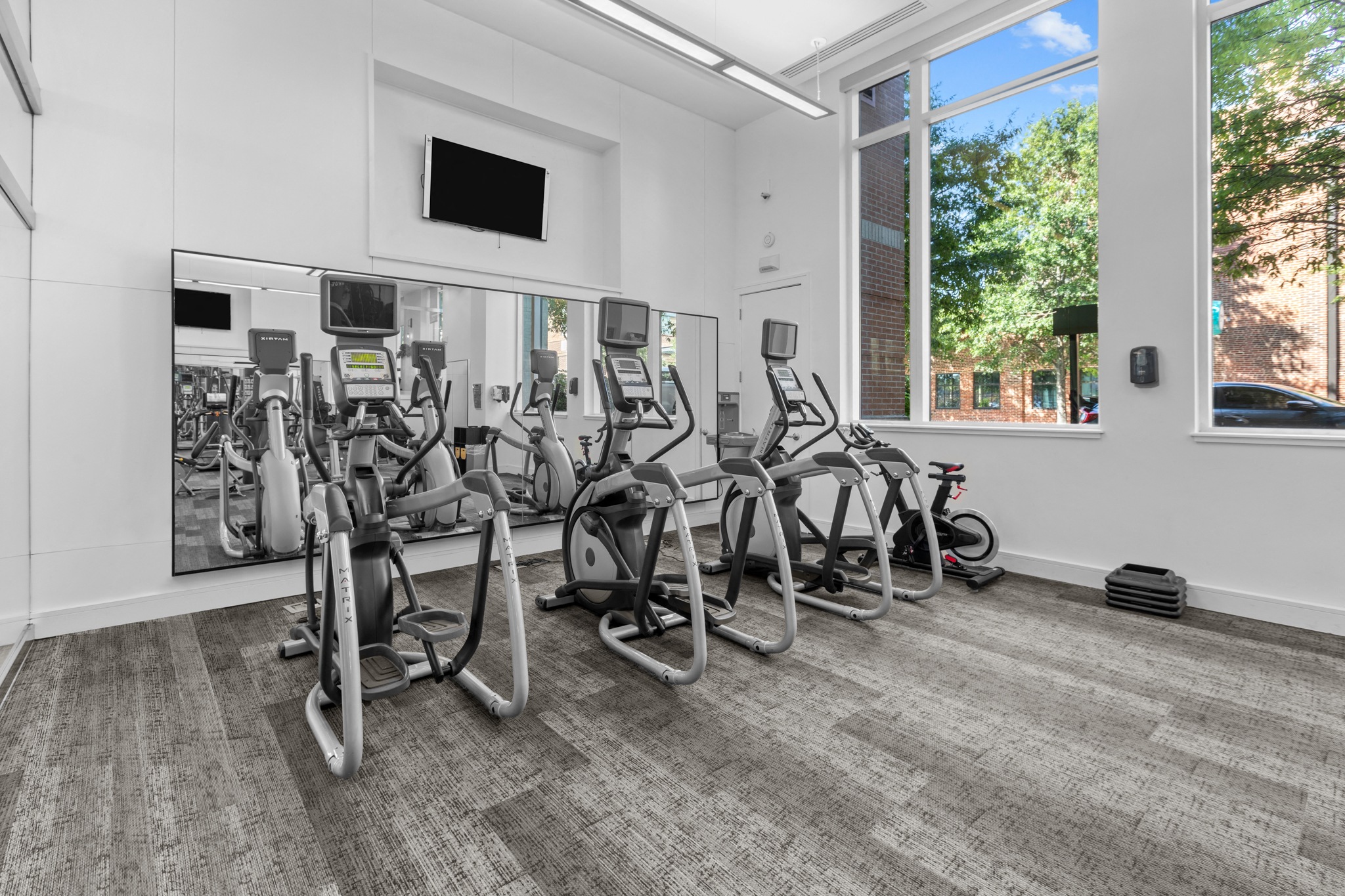 the gym is equipped with cardio equipment and state of the art cardio machines